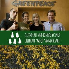 greenpeace and kimberly clark